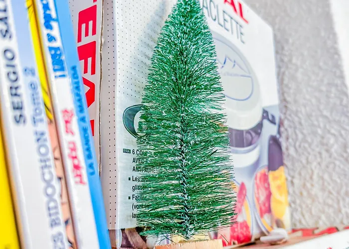 Cosy à Super Vue Proche Pistes *